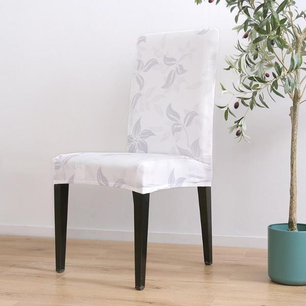 printing zebra stretch chair cover big elastic seat chair covers painting slipcovers restaurant banquet l home decoration
printing zebra stretch chair cover big elastic seat chair covers painting slipcovers restaurant banquet l home decoration