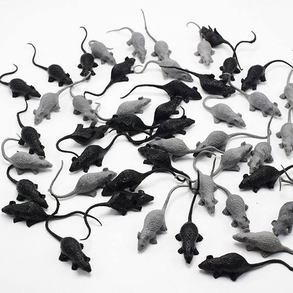 new strange simulation mini mouse spider model mischievous horror scary toy halloween toy safe and non-toxic
new strange simulation mini mouse spider model mischievous horror scary toy halloween toy safe and non-toxic