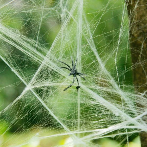 100pcs spider webs halloween decorations super stretch cobwebs halloween with 2pcs spiders for halloween indoor and outdoor decoration
100pcs spider webs halloween decorations super stretch cobwebs halloween with 2pcs spiders for halloween indoor and outdoor decoration