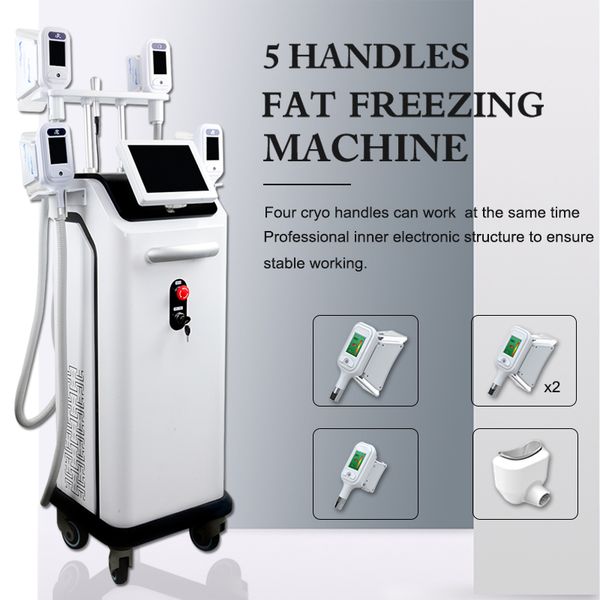 selling cryotherapy fat ing device fat removal cryolipolysis machine fat e 4 cryo handle can work at the same time
selling cryotherapy fat ing device fat removal cryolipolysis machine fat e 4 cryo handle can work at the same time