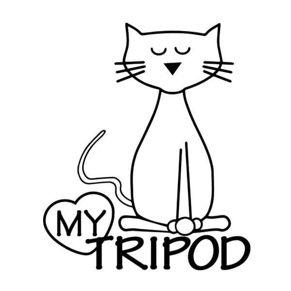 16*13.4cm love my special cat tripod funny car window bumper novelty jdm drift vinyl decal sticker
16*13.4cm love my special cat tripod funny car window bumper novelty jdm drift vinyl decal sticker