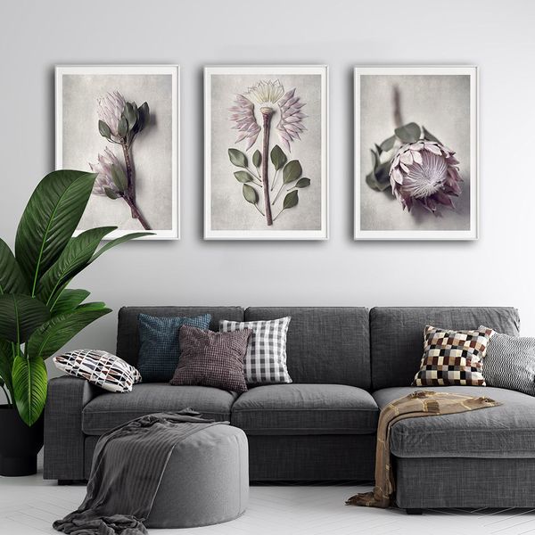 protea art print nordic flowers poster plant canvas painting pgraphy wall art pictures for living room modern home decor
protea art print nordic flowers poster plant canvas painting pgraphy wall art pictures for living room modern home decor