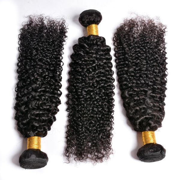 8a brazilian peruvian indian malaysian virgin kinky curly human hair bundles wefts 3 pieces remy kinky curly human hair weaves, Black
8a brazilian peruvian indian malaysian virgin kinky curly human hair bundles wefts 3 pieces remy kinky curly human hair weaves, Black