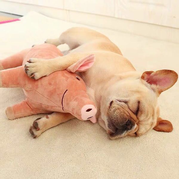 plush pig pet dog accompanying sleeping toys for small dogs french bulldog bite molar venting supplies puppy dog playing toy
plush pig pet dog accompanying sleeping toys for small dogs french bulldog bite molar venting supplies puppy dog playing toy