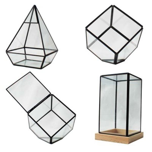 new literary florarium decorative echeveria sedum crassula 3d creative model glass with succulent plants geometric glass bonsai
new literary florarium decorative echeveria sedum crassula 3d creative model glass with succulent plants geometric glass bonsai