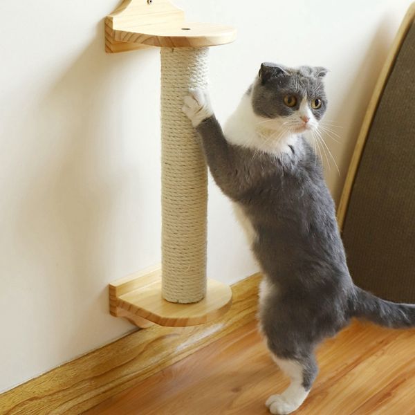 прочный сизаль веревка для cat tree когтеточке игрушка кошки царапающих игрушки кошачий коготь diy ткачество cats создание desk ноги binding
прочный сизаль веревка для cat tree когтеточке игрушка кошки царапающих игрушки кошачий коготь diy ткачество cats создание desk ноги binding