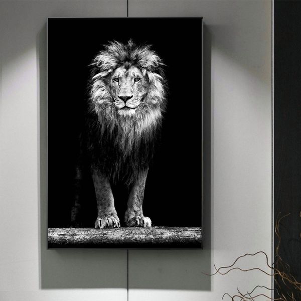 black and white lion staring home decor wall art poster and prints animal picture on canvas painting for living room wall decor
black and white lion staring home decor wall art poster and prints animal picture on canvas painting for living room wall decor