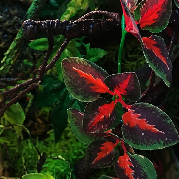 aquarium simulation rattan hanging reptile artificial water grass suction cup 449e
aquarium simulation rattan hanging reptile artificial water grass suction cup 449e