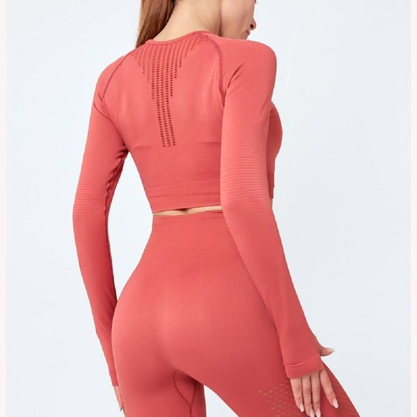 sport shirt women's long-sleeved stretching training dance speed dry yoga tight body show thin t-shirt knitted gym clothes, White;red
sport shirt women's long-sleeved stretching training dance speed dry yoga tight body show thin t-shirt knitted gym clothes, White;red