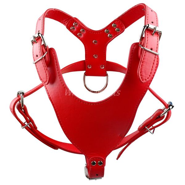 мягкая кожа обычной собака harness pet жилет для среднего большой собаки pitbull мастифа boxer 4 цвета имеющихся
мягкая кожа обычной собака harness pet жилет для среднего большой собаки pitbull мастифа boxer 4 цвета имеющихся