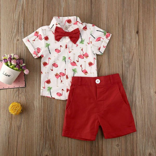 toddler kids baby boy summer flamingo clothes shirt button short pants outfits gentleman formal cotton bow 2pcs clothing, White
toddler kids baby boy summer flamingo clothes shirt button short pants outfits gentleman formal cotton bow 2pcs clothing, White