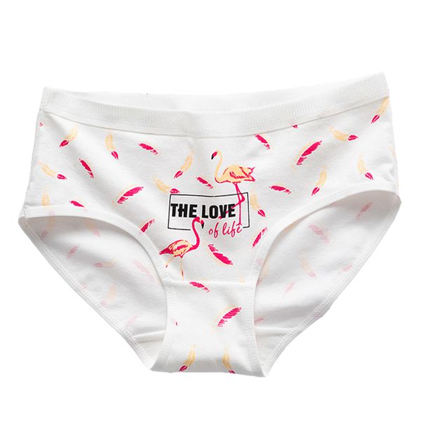 5 pcs/lot cotton underwear women flamingo briefs calcinhas lingeries girls panty underpants seamless boxer panties women's, Black;pink
5 pcs/lot cotton underwear women flamingo briefs calcinhas lingeries girls panty underpants seamless boxer panties women's, Black;pink
