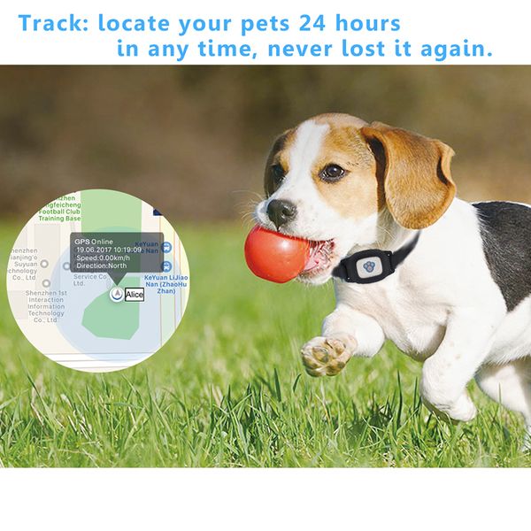 pet tracker gps dog / cat collar водоустойчивые usb зарядка gps трекеры с обратные функции pet products
pet tracker gps dog / cat collar водоустойчивые usb зарядка gps трекеры с обратные функции pet products