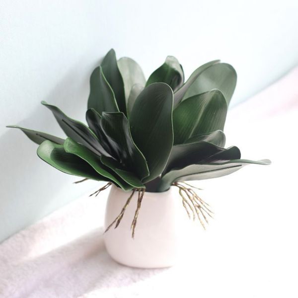 phalaenopsis leaf artificial plant decorative flowers auxiliary material flower decoration orchid leaves bride wedding decor
phalaenopsis leaf artificial plant decorative flowers auxiliary material flower decoration orchid leaves bride wedding decor