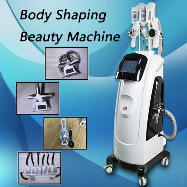 2020 new cryolipolysis beauty instruments fat ing machine cryolipolysis cool slimming weight loss with 2 cryo handles
2020 new cryolipolysis beauty instruments fat ing machine cryolipolysis cool slimming weight loss with 2 cryo handles