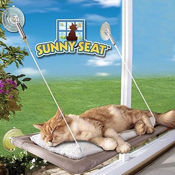 pet nest cat sucker type hammock house pet bed mats sucker type steel wire hang line fossa nest pet products accessories supplies
pet nest cat sucker type hammock house pet bed mats sucker type steel wire hang line fossa nest pet products accessories supplies