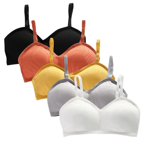 3pc women bralette bras sports vest wrap chest no rings bralette ribbon breast pad ring underwear push up bras for women female, Red;black
3pc women bralette bras sports vest wrap chest no rings bralette ribbon breast pad ring underwear push up bras for women female, Red;black