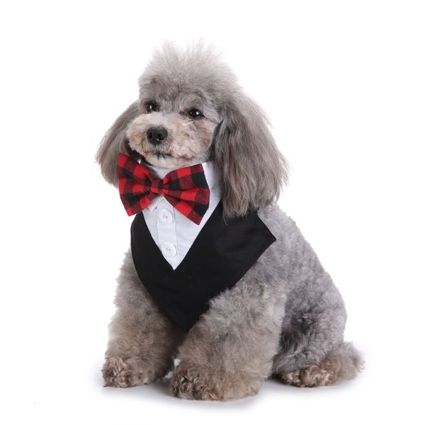 bow tie necktie clothes british black kitten tie handsome dog puppy necktie for pet festival decor dog cat pet puppy toy d20
bow tie necktie clothes british black kitten tie handsome dog puppy necktie for pet festival decor dog cat pet puppy toy d20