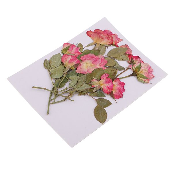 10 pieces multiple pressed flowers, rose buds with leaves, real pressed dried flowers for handmade scrapboking wedding card diy
10 pieces multiple pressed flowers, rose buds with leaves, real pressed dried flowers for handmade scrapboking wedding card diy