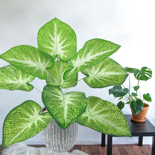 livingroom wedding decoration ornament artificial taro leaves simulatedtaro leaves artificial green plant 42cm 9 heads
livingroom wedding decoration ornament artificial taro leaves simulatedtaro leaves artificial green plant 42cm 9 heads
