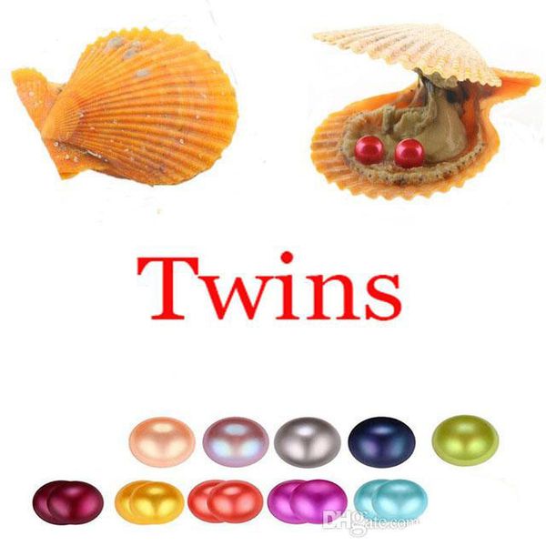 2020 new oyster pearl 6-7mm round twins pearl in oysters akoya oyster red shell with colouful pearls jewelry by vacuum packed wholesale, White
2020 new oyster pearl 6-7mm round twins pearl in oysters akoya oyster red shell with colouful pearls jewelry by vacuum packed wholesale, White