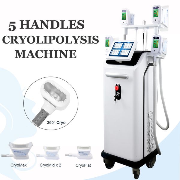 5 ручки супер cryolipolysis машина удаления жира замораживания похудение лазерного жира липосакция кавитация рф вакуумных похудения машины
5 ручки супер cryolipolysis машина удаления жира замораживания похудение лазерного жира липосакция кавитация рф вакуумных похудения машины