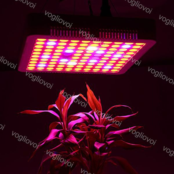 full spectrum 300w led grow light square good radiator led grow tent covered green houses lamp plant grow lamp for veg flowering dhl
full spectrum 300w led grow light square good radiator led grow tent covered green houses lamp plant grow lamp for veg flowering dhl