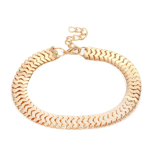 5pcs/lot exaggerates wide snake chain anklets metal foot chains women female boho ankle bracelet beach fashion jewelry, Red;blue
5pcs/lot exaggerates wide snake chain anklets metal foot chains women female boho ankle bracelet beach fashion jewelry, Red;blue