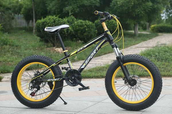 2020/factory direct 20-inch beach snowmobile harecar variable speed disc brake 4.0 widened large tire mountain bike
2020/factory direct 20-inch beach snowmobile harecar variable speed disc brake 4.0 widened large tire mountain bike