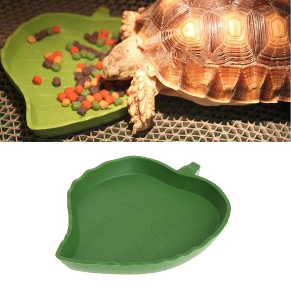 новый reptile воды еды блюдо чаша пластиковые gecko питания worm feeder листьев форма 2 размер рептилия принадлежности
новый reptile воды еды блюдо чаша пластиковые gecko питания worm feeder листьев форма 2 размер рептилия принадлежности