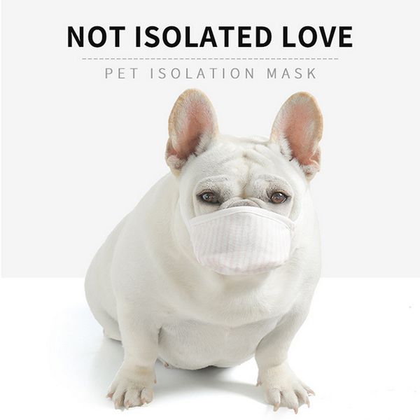 3pcs dog face mask 3 layers nonwoven soft respiratory filter anti dust mask pet accessories
3pcs dog face mask 3 layers nonwoven soft respiratory filter anti dust mask pet accessories