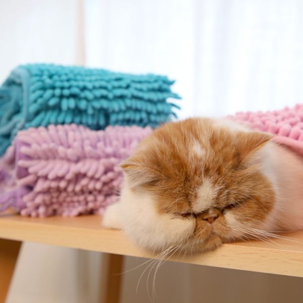мягкое водопоглощение полотенце для собак pet cat очистки массаж мытье сушка волосы полотенца мойки автомобилей ванная полотенца товаров для
мягкое водопоглощение полотенце для собак pet cat очистки массаж мытье сушка волосы полотенца мойки автомобилей ванная полотенца товаров для