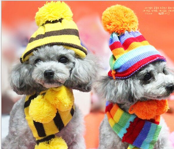 new pet clothes winter warm three-piece hat elbow scarf teddy bear autumn and winter warm
new pet clothes winter warm three-piece hat elbow scarf teddy bear autumn and winter warm