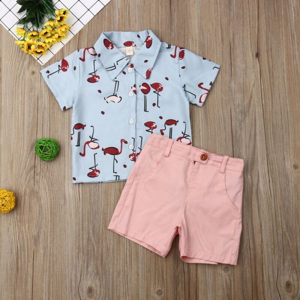 

pudcoco 2pcs toddler kids baby boy gentleman clothes flamingo pattern t-shirt short pants formal summer outfits 1-5y, White
