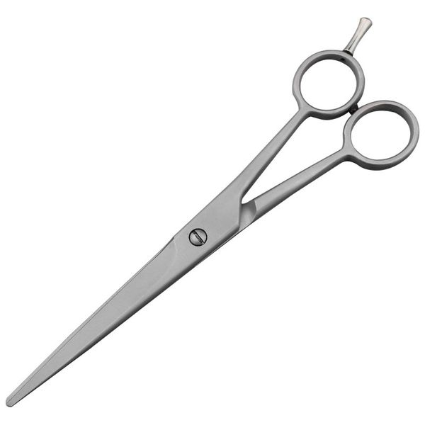 hair bang scissors professional stainless steel hairdressing scissors cutting shears silvery haircut thinning scissors for barber salon
hair bang scissors professional stainless steel hairdressing scissors cutting shears silvery haircut thinning scissors for barber salon