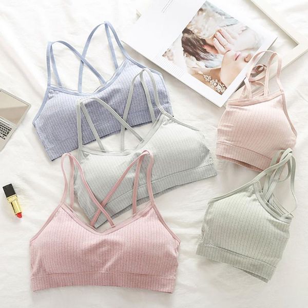 sports gym jogging running sports bra yoga push up underwear seamless threaded chest pad ess female sport bra#p3, White;black
sports gym jogging running sports bra yoga push up underwear seamless threaded chest pad ess female sport bra#p3, White;black