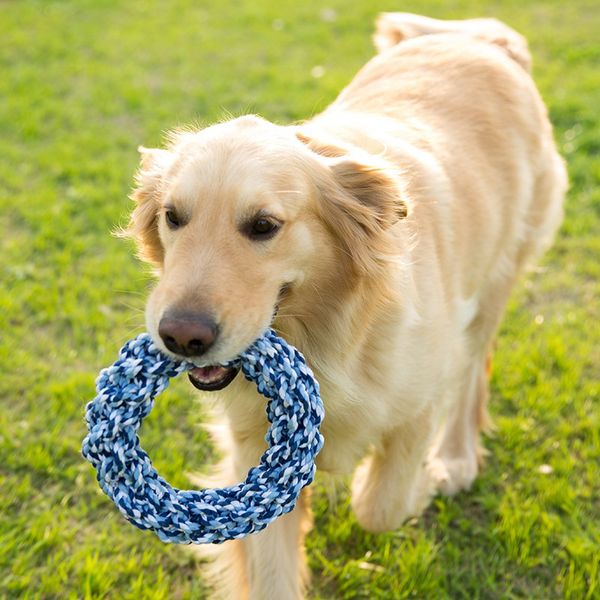 bite resistant big dog chew toys for large dogs interactive goldern retriever play game rope knot toy pet shop dog accessories
bite resistant big dog chew toys for large dogs interactive goldern retriever play game rope knot toy pet shop dog accessories