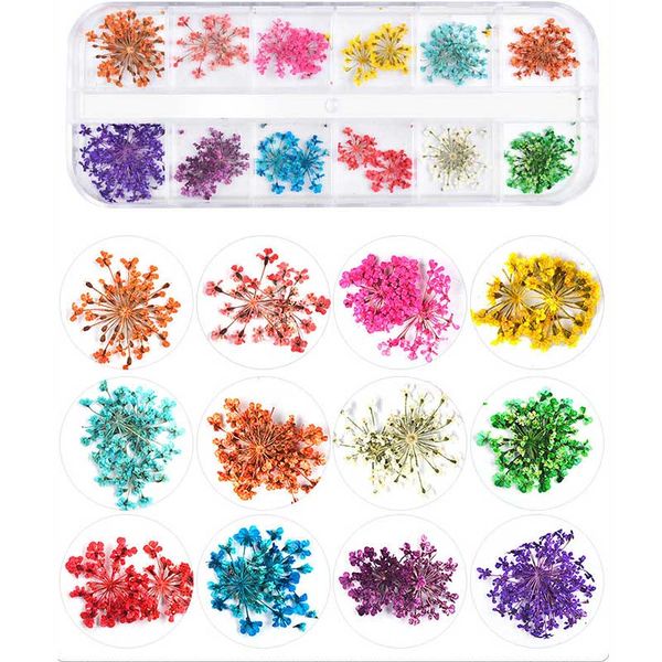 3d dry dried flowers for nails 2 boxes manicure art 12 kinds tiny small pressed dried real flowers for nails with case hiaisb, Silver;gold
3d dry dried flowers for nails 2 boxes manicure art 12 kinds tiny small pressed dried real flowers for nails with case hiaisb, Silver;gold
