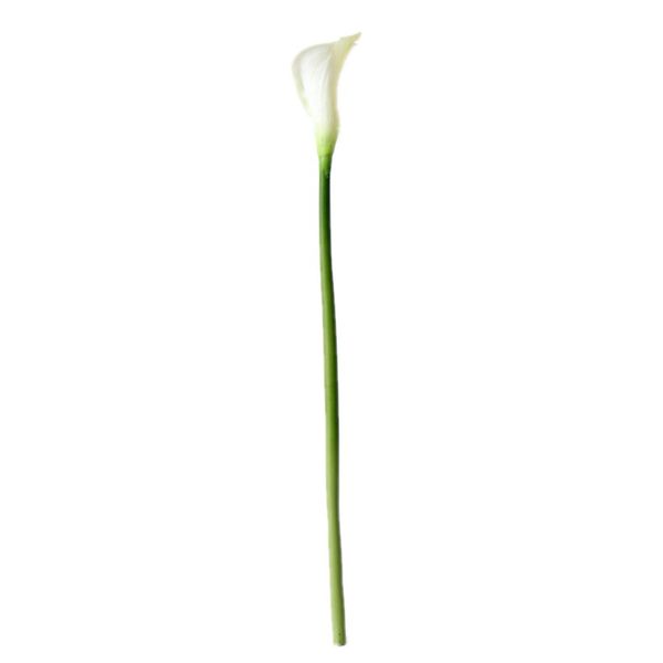 1pc fake calla lily wedding real touch elegant decoration bouquet artificial flower home bridal plants lifelike pu birthday
1pc fake calla lily wedding real touch elegant decoration bouquet artificial flower home bridal plants lifelike pu birthday