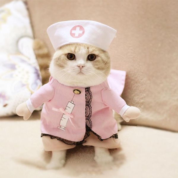 new arrival funny pet clothes cosplay pirate dog cat halloween party cute costume clothing comfort for small medium dog
new arrival funny pet clothes cosplay pirate dog cat halloween party cute costume clothing comfort for small medium dog