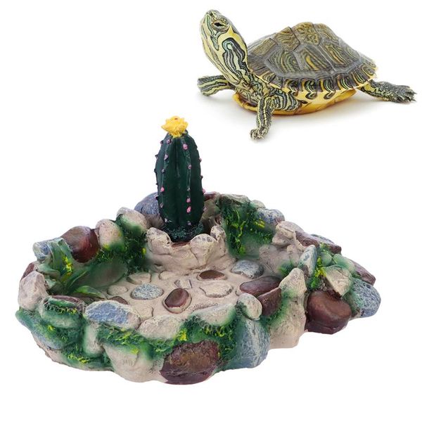 1pcs pet food bowl reptile питьевой блюдо гусеничный питание блюдо принадлежности для домашних животных для рептилий черепахи болотной череп
1pcs pet food bowl reptile питьевой блюдо гусеничный питание блюдо принадлежности для домашних животных для рептилий черепахи болотной череп