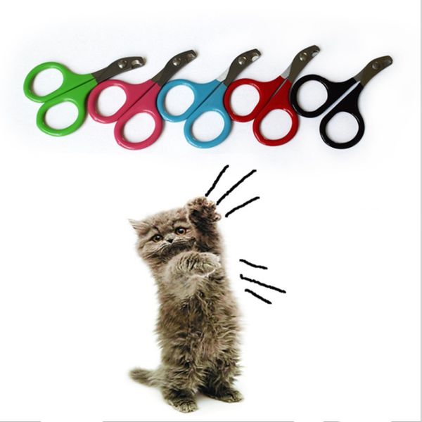 pet nail clippers for small animals trimmer grooming kit tools for tiny dog cat bunny rabbit bird nailclippers
pet nail clippers for small animals trimmer grooming kit tools for tiny dog cat bunny rabbit bird nailclippers
