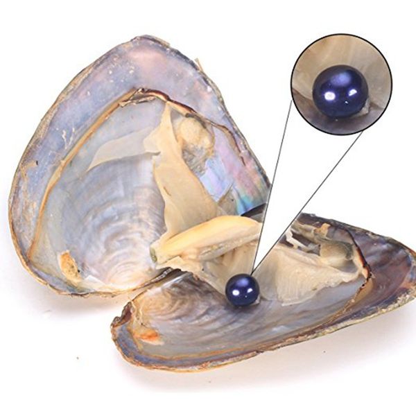 2020 natural 7-8mm freshwater akoya oyster with single pearl mixed 25 colors circle natural pearl in vacuum package for jewelry, White
2020 natural 7-8mm freshwater akoya oyster with single pearl mixed 25 colors circle natural pearl in vacuum package for jewelry, White