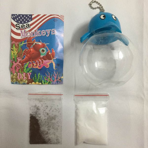 2020 15mm toys magic baby monkey eggs with an aquario length kit aquarium living animals fairy salina shrimp funny brine sea monkeys ar dvlj
2020 15mm toys magic baby monkey eggs with an aquario length kit aquarium living animals fairy salina shrimp funny brine sea monkeys ar dvlj