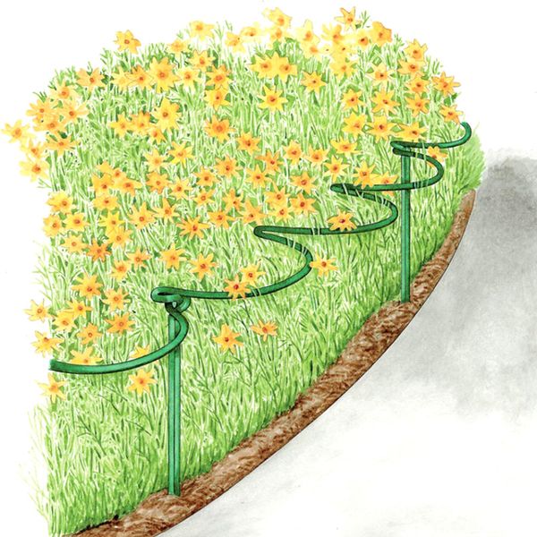 2 pcs flower plant support stakes semi circular metal frame professional for garden vj-drop
2 pcs flower plant support stakes semi circular metal frame professional for garden vj-drop