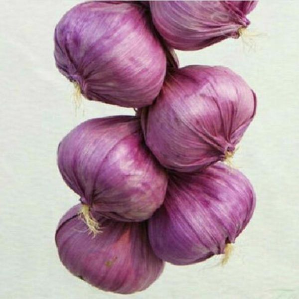 artificial string garlic faux onion fake house kitchen party office decor artificial foods vegetables
artificial string garlic faux onion fake house kitchen party office decor artificial foods vegetables