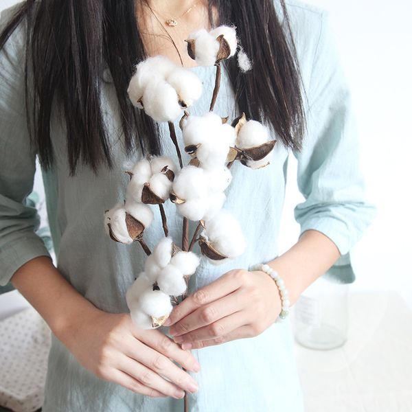 ten natural cotton dried cotton stems farmhouse artificial flower filler floral decor fake flower home bedroom decoration
ten natural cotton dried cotton stems farmhouse artificial flower filler floral decor fake flower home bedroom decoration