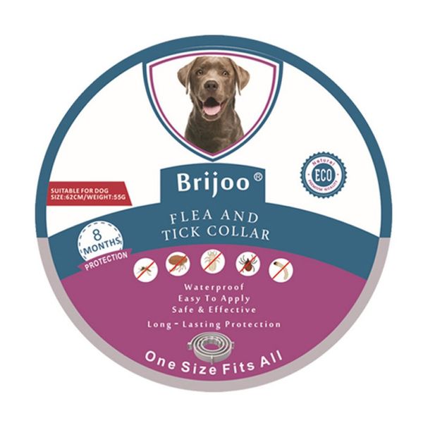 pet dog cat collar adjustable mosquito repellent flea treatment prevention natural essential oil safe collar pet dog cat supply
pet dog cat collar adjustable mosquito repellent flea treatment prevention natural essential oil safe collar pet dog cat supply