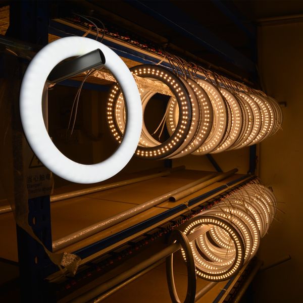 led circular tube round g10q led circular blub lamp t9 smd2835 220v led ring light replacement of fluorescent ligh pc
led circular tube round g10q led circular blub lamp t9 smd2835 220v led ring light replacement of fluorescent ligh pc