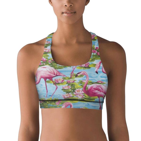 women's yoga vesttropical flamingo design personalitysports bra humorous sports underwear tropical watermelon flamingos pink life bird, Black;white
women's yoga vesttropical flamingo design personalitysports bra humorous sports underwear tropical watermelon flamingos pink life bird, Black;white